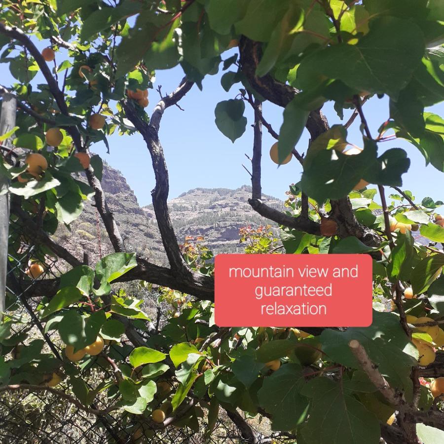 מלון San Bartolomé La Finca Del Don Ganapati מראה חיצוני תמונה